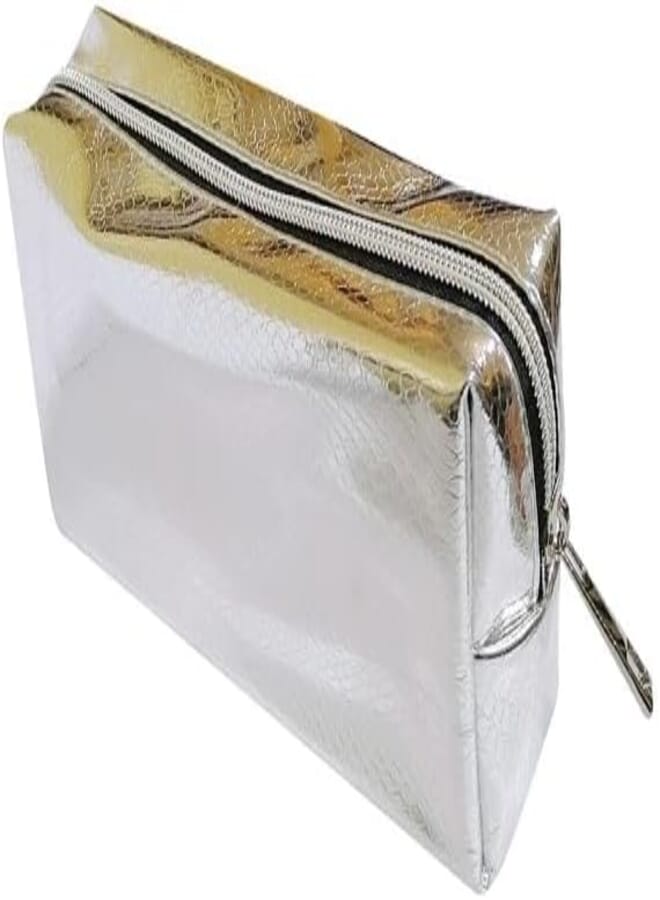 PCP20033C Metallic Snake Pencil Case, Silver